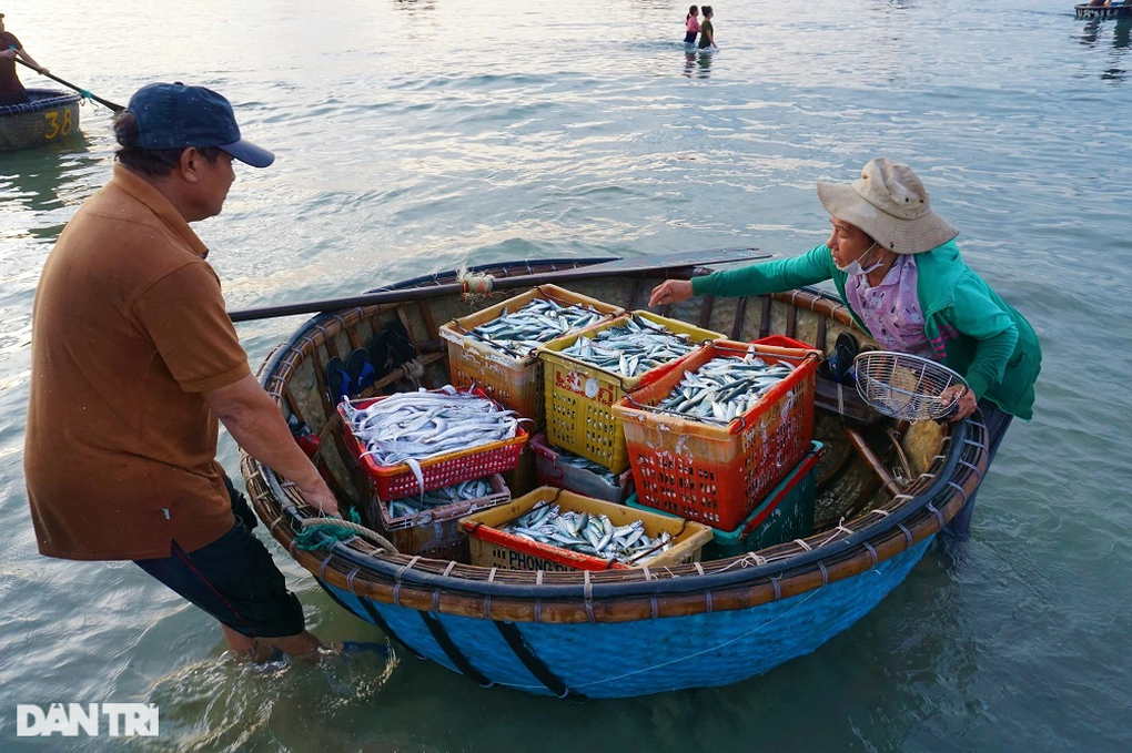 Phiên chợ lúc rạng đông, chỉ bán cá nục tươi - 3 Phiên chợ lúc rạng đông, chỉ bán cá nục tươi - 3