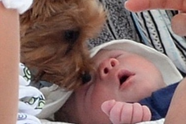 Cậu nhóc 10 ngày tuổi của Simon Cowell đã làm quen với cún!