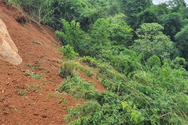 Hàng nghìn khối đất đá sạt lở chắn ngang quốc lộ 7A