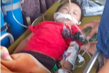 Bé 3 tuổi bị rắn độc cắn khi nằm dưới nền nhà