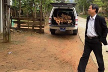 Xe biển xanh của trung tâm y tế chở... gỗ lậu