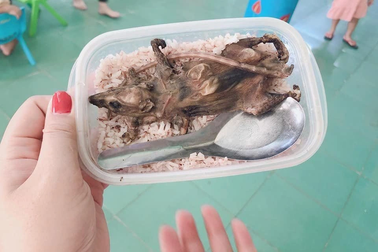 Người đăng hình ảnh học sinh ăn cơm với thịt chuột là giám đốc một công ty