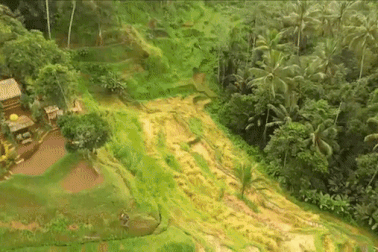 Ngoài biển đảo, Bali còn vô số điểm check in đẹp như mơ!