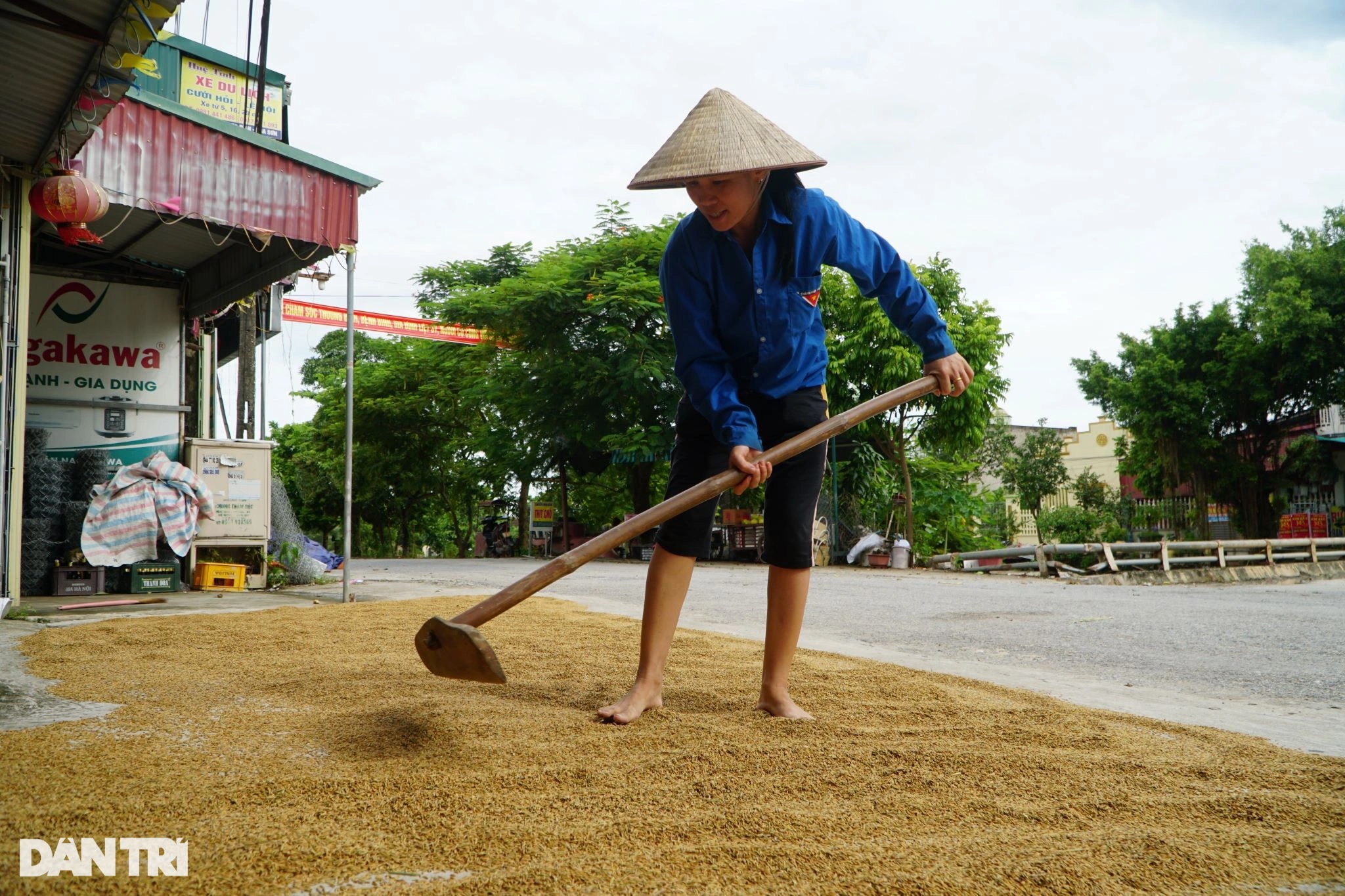 Nông dân nhìn trời... khóc hậu bão Yagi - 10