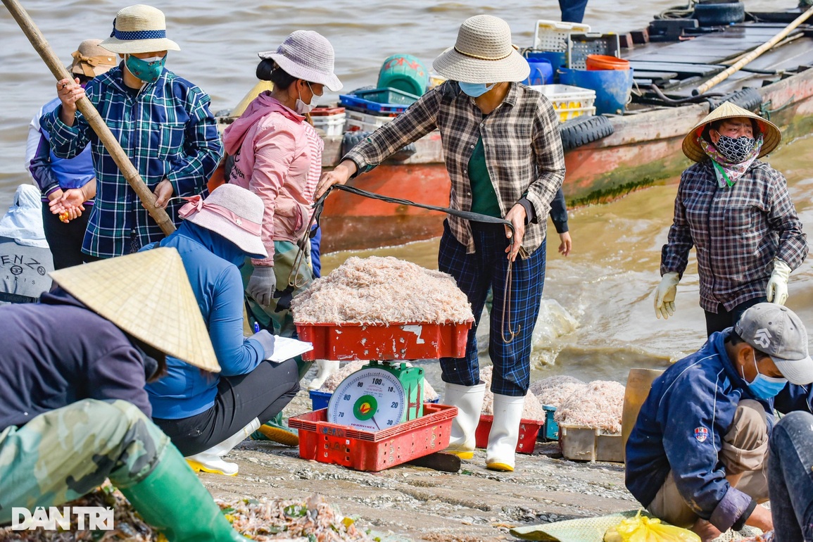Tranh thủ nhặt tiền trên cảng cá ngày cuối năm - 1 Tranh thủ nhặt tiền trên cảng cá ngày cuối năm - 1