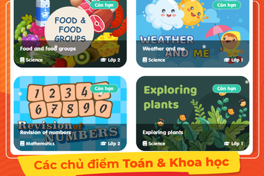 Giải pháp ôn tập kiến thức tiếng Anh cho trẻ tại nhà có thật sự tốt?