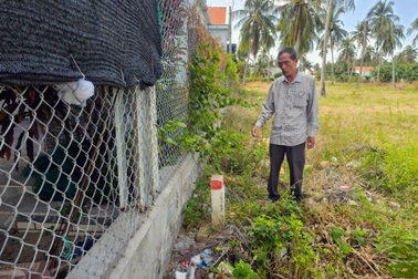 Nắn đường vào "phút cuối" bị dân phản đối, chủ đầu tư đánh dấu lên cây dừa