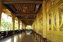 Ông Huỳnh Uy Dũng: “Tôi có điên mà đi buôn lậu chỉ 9,1 m3 gỗ“