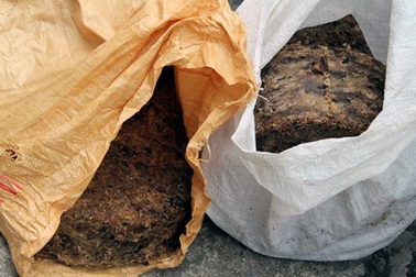 Hà Nội: Phát hiện cơ sở chế biến mỡ bẩn