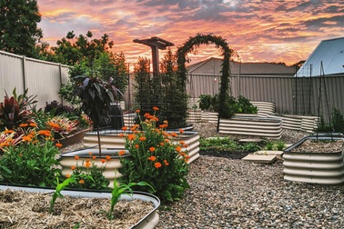 Thích mê khu vườn nhỏ đủ loại cây trái của cặp đôi yêu nhau 16 năm