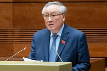 "Không phạt tù chung thân và tử hình với người chưa thành niên"