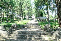 Chùa "trăm gian" nơi có rồng đá thời Trần "độc nhất, vô nhị" ở Hà Nội