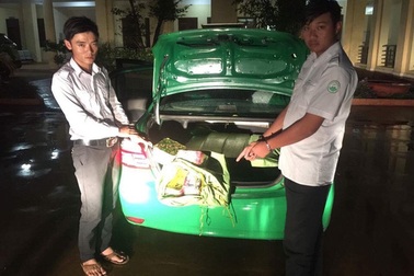 Bắt xe taxi Mai Linh vận chuyển gần 1 tạ pháo nổ