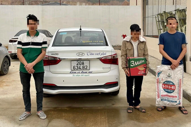 Khởi tố 2 thanh niên bán rắn hổ mang chúa dài 2m