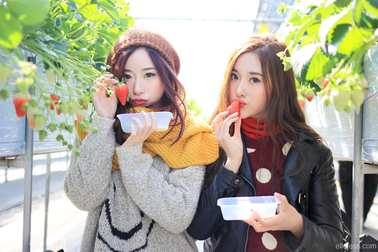 Yamanashi – vương quốc trái cây và quê hương của ngọn núi Phú Sỹ nổi tiếng Nhật Bản