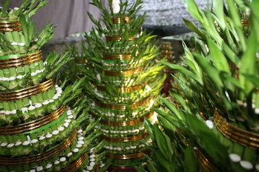 Làng "phát tài" nhờ cây phất lộc