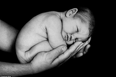 Đẹp như ảnh vẽ bằng... bút bi  