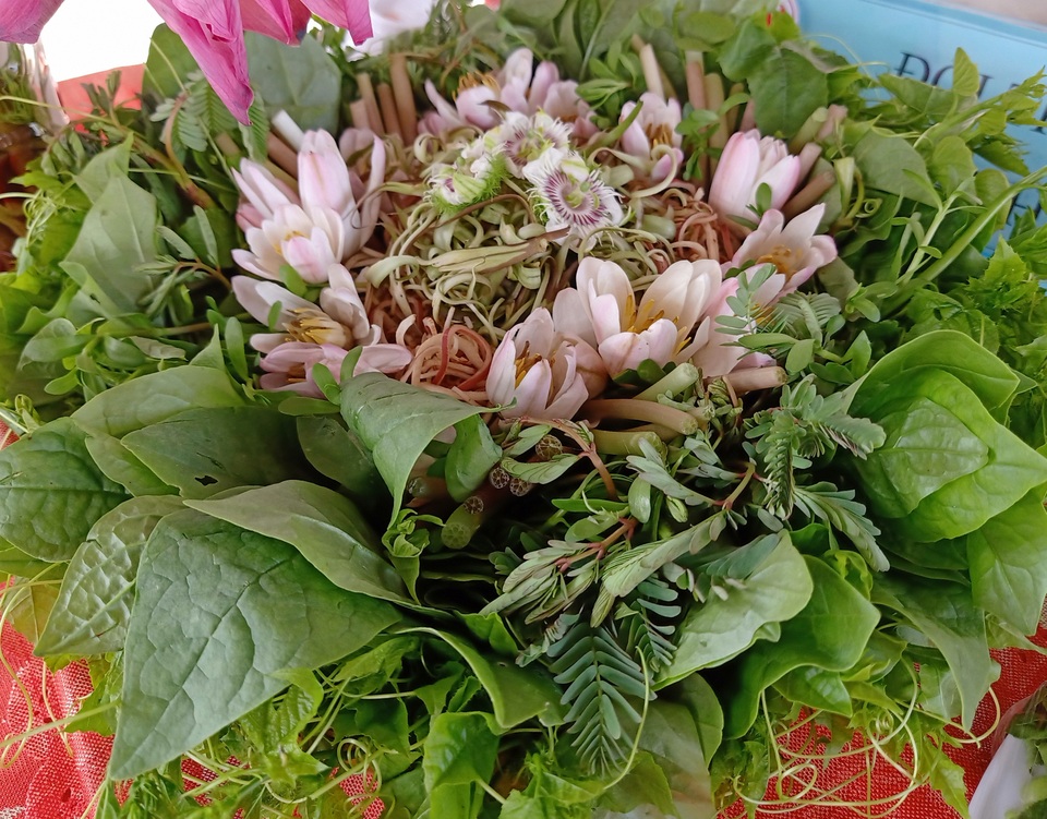 Về đất U Minh Hạ thưởng thức mắm, chỉ nhìn rau thôi cũng đã thèm - 8 Về đất U Minh Hạ thưởng thức mắm, chỉ nhìn rau thôi cũng đã thèm - 8