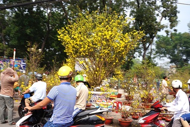 Hình ảnh cuối cùng của chợ hoa tết 2015