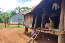 Trai nghèo bỏ vợ bầu, mẹ góa, bán mạng vì mộng kiếm việc ngàn "đô"