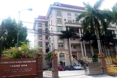 Điều chỉnh giảm hàng chục lao động hợp đồng trong cơ quan hành chính