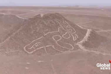 Bí ẩn hình vẽ mèo khổng lồ hơn 2.000 năm tuổi trên sa mạc