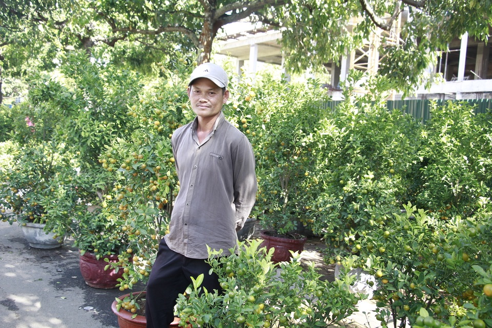 Thương lái mệt mỏi xả hàng, giá hoa tết nhiều nơi giảm 50-70% - 26 Thương lái mệt mỏi xả hàng, giá hoa tết nhiều nơi giảm 50-70% - 26
