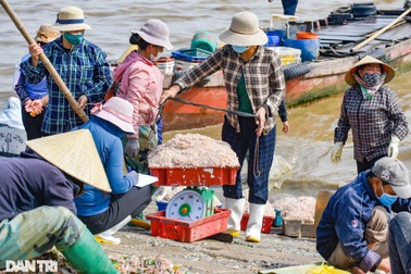 Tranh thủ "nhặt tiền" trên cảng cá ngày cuối năm