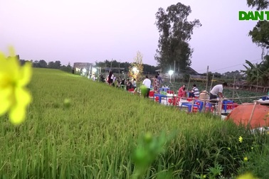 Quán chay giữa ruộng "hot" nhất miền Tây đón hàng trăm lượt khách mỗi ngày