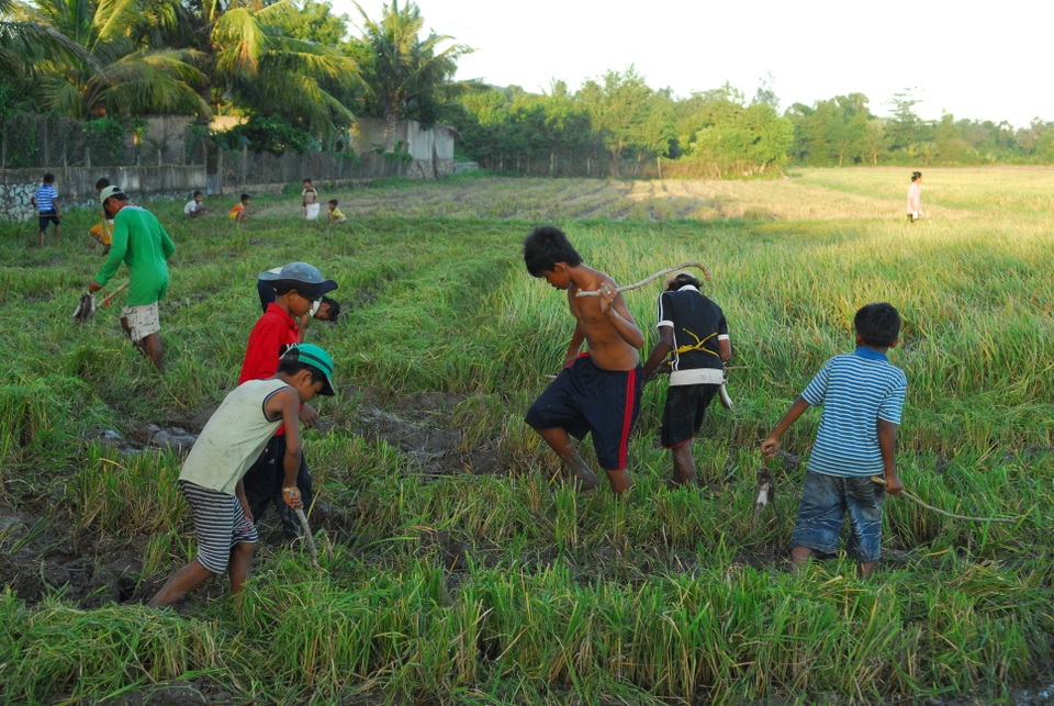 Thú vui đuổi bắt chuột trên ruộng đồng ở miền Tây - 10 Thú vui đuổi bắt chuột trên ruộng đồng ở miền Tây - 10