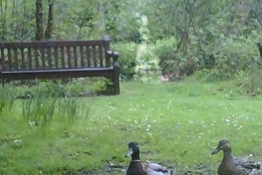 “Bóng ma” lang thang trong công viên