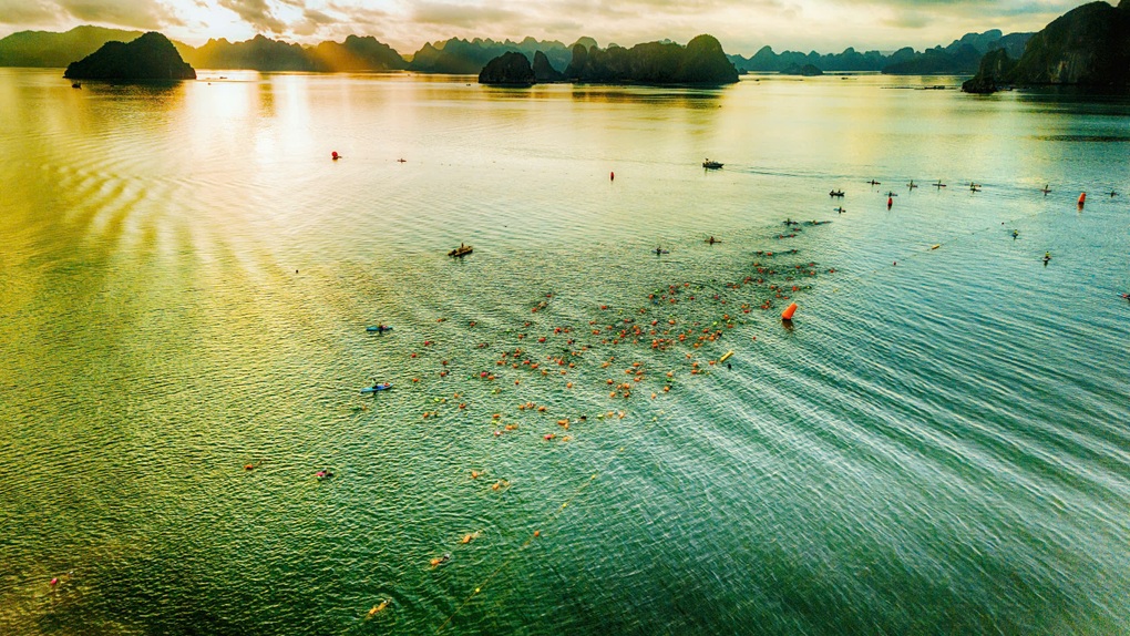Aqua Warriors Van Don 2025: អត្តពលិកជាង 1,500 នាក់ចុះឈ្មោះសម្រាប់សំបុត្រ Super Early Bird - 1 Aqua Warriors Vân Đồn 2025: Hơn 1.500 vận động viên đăng ký vé siêu sớm Super Early Bird - 1