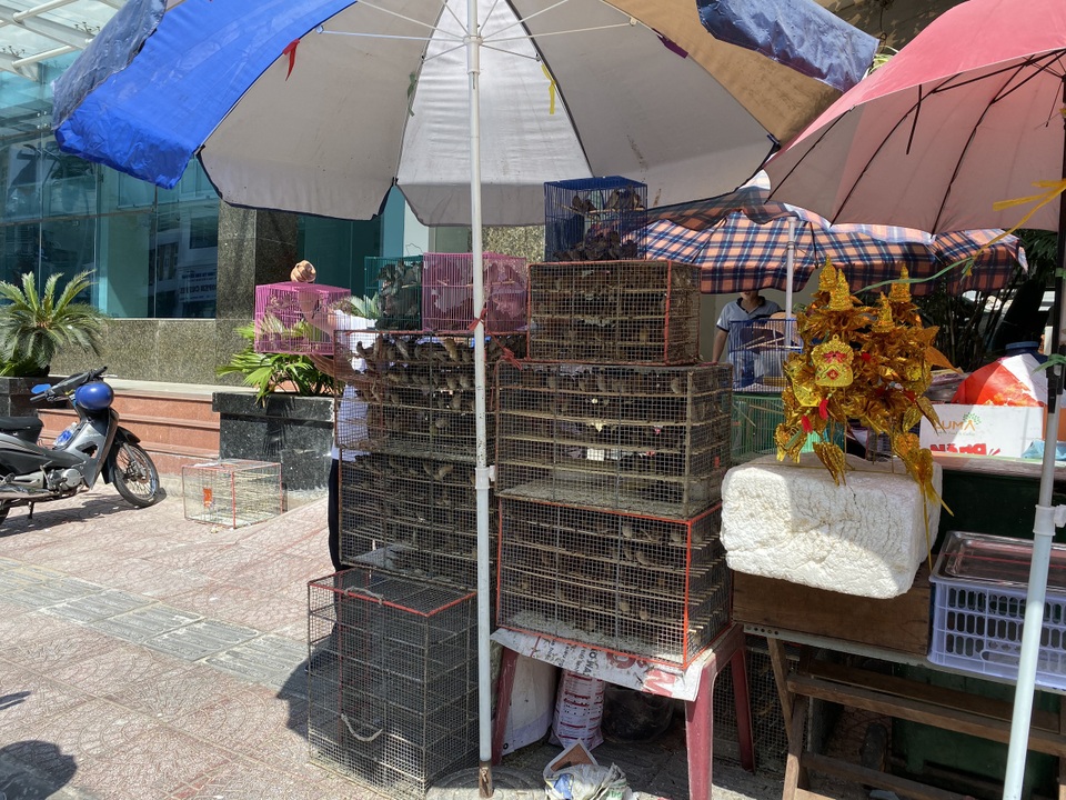Người đi lễ bị chặt chém phí gửi xe, điểm trông giữ hốt bạc ngày Tết - 16 Người đi lễ bị chặt chém phí gửi xe, điểm trông giữ hốt bạc ngày Tết - 16