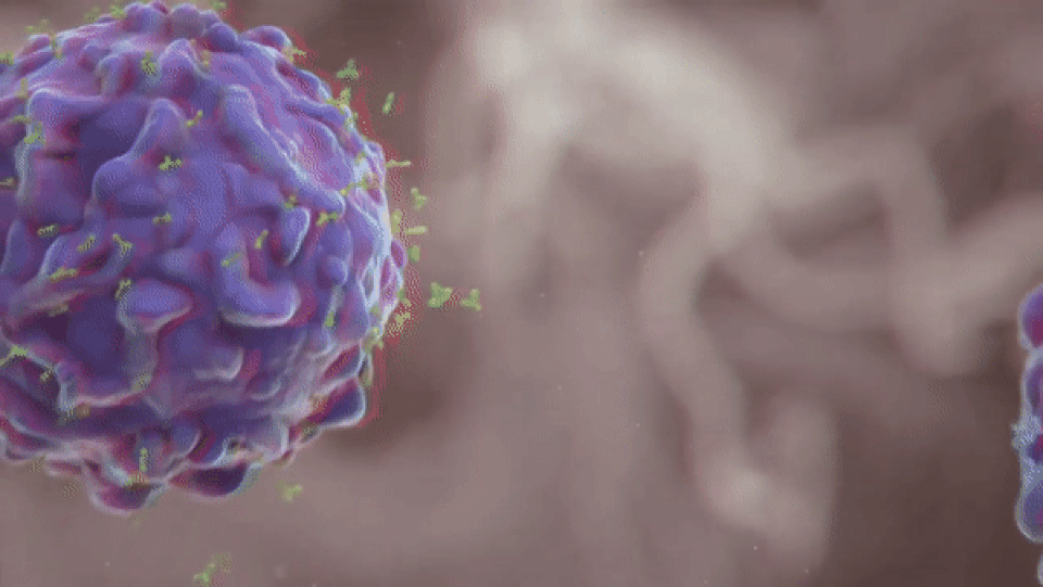 Vắc xin bảo vệ cơ thể trước virus sốt xuất huyết như thế nào? - 4 Vắc xin bảo vệ cơ thể trước virus sốt xuất huyết như thế nào? - 4