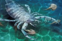 Phát hiện hóa thạch bọ cạp biển khổng lồ ở Trung Quốc