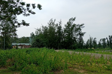 Vụ “hô biến” đất hợp tác xã thành đất ở: Đã tìm ra vị trí sai phạm!