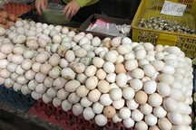 Trứng gà rẻ hơn rau, chủ trang trại lỗ chục tỷ đồng