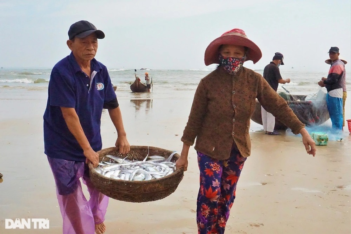 Bám biển vài tiếng, ngư dân thu tiền triệu nhờ ngón nghề tay trái - 3 Bám biển vài tiếng, ngư dân thu tiền triệu nhờ ngón nghề tay trái - 3
