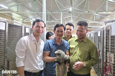 Nuôi con đặc sản, nông dân thu hàng trăm triệu đồng mỗi năm