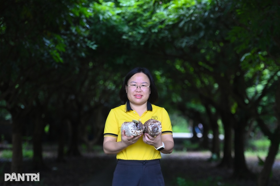 Cho gà ăn “phế phẩm nông nghiệp”, nữ kỹ sư thu tiền tỷ từ trứng đặc sản - 2