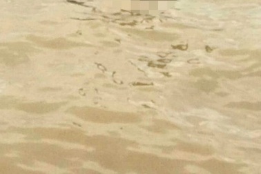 Phát hiện thi thể phụ nữ lõa thể trong thùng nước