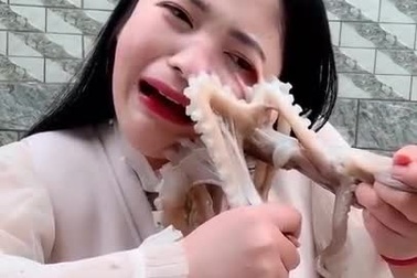 Cô gái “gặp họa” khi quay livestream cảnh mình ăn sống bạch tuộc