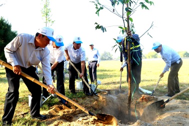 Quảng Nam: Quyết tâm hành động vì môi trường biển, đảo