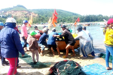 Kiếm tiền triệu mỗi ngày, ngư dân bỏ Tết “săn” tôm hùm giống