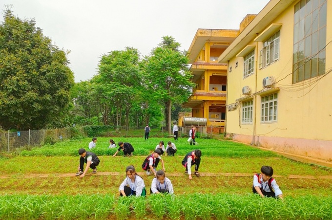 Mô hình trường học gắn với sản xuất kinh doanh đã được nhà trường triển khai nhiều năm.