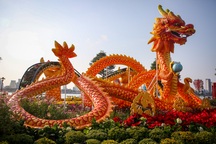 Linh vật rồng của Đà Nẵng sẽ được xử lý thế nào khi hết Tết?