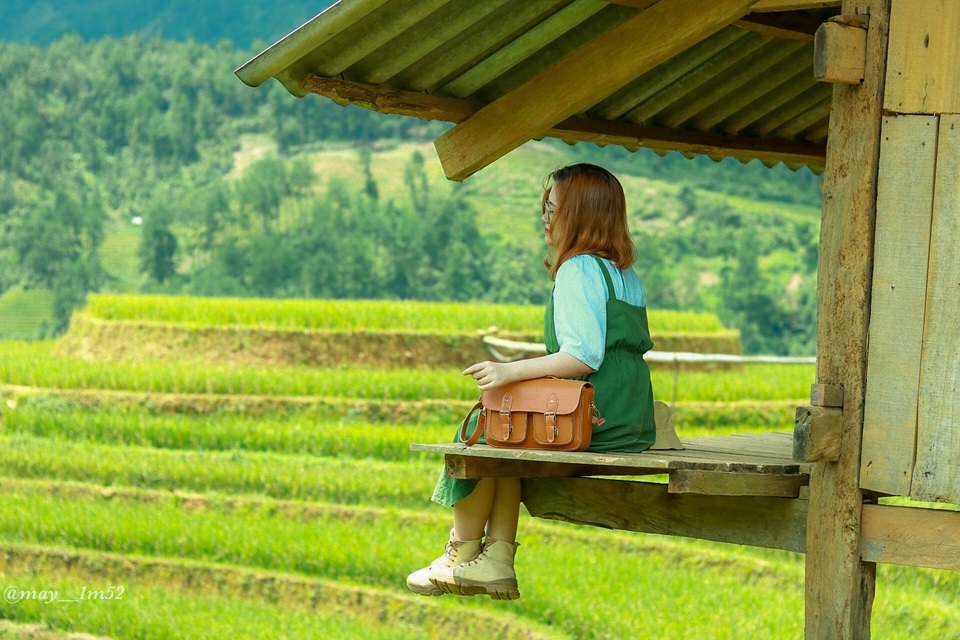 Mù Cang Chải đẹp mê đắm mùa lúa mới! - 8 Mù Cang Chải đẹp mê đắm mùa lúa mới! - 8