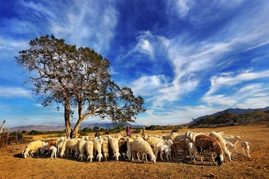 Những điểm đến tuyệt đẹp yên bình hiếm hoi trong dịp lễ 30/4