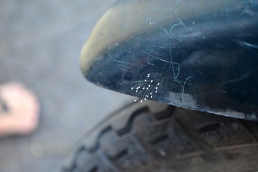 Phát hiện loài hoa huyền thoại "3 nghìn năm" mới nở trên... xe máy