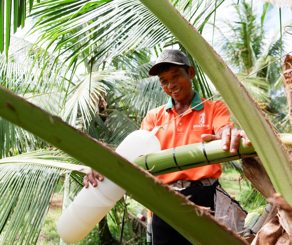 Khám phá loại mật thuần chay - đặc sản của vùng đất Trà Vinh - 2 Khám phá loại mật thuần chay - đặc sản của vùng đất Trà Vinh - 2